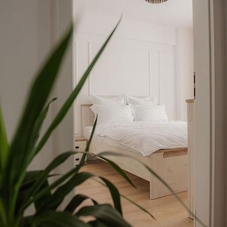 Modern Apartment In تيميشورا المظهر الخارجي الصورة