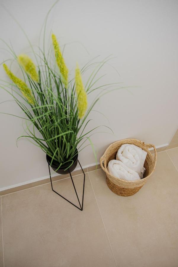 Modern Apartment In تيميشورا المظهر الخارجي الصورة