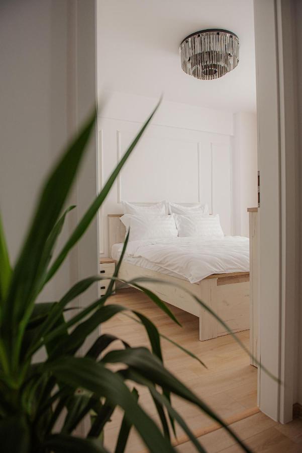 Modern Apartment In تيميشورا المظهر الخارجي الصورة